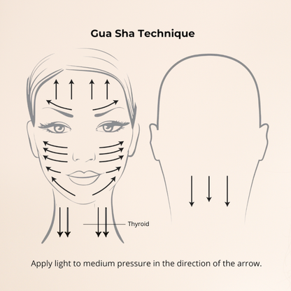Bian Stone Gua Sha & Bioferm Oil