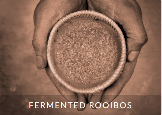 Fermented Rooibos
